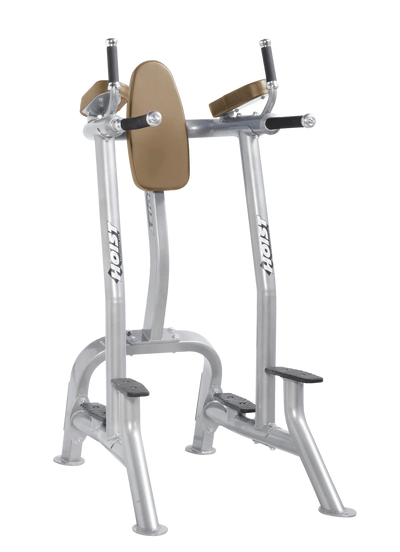 Hoist Fitness CF3252 Commercial Vertical Knee Raise Dip - Fitness Outlet 