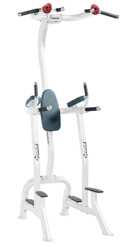 Hoist Fitness CF3962 Commercial Fitness Tree / Vertical Knee Raise