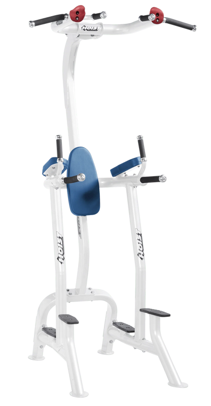Hoist Fitness CF3962 Commercial Fitness Tree / Vertical Knee Raise - Fitness Outlet 