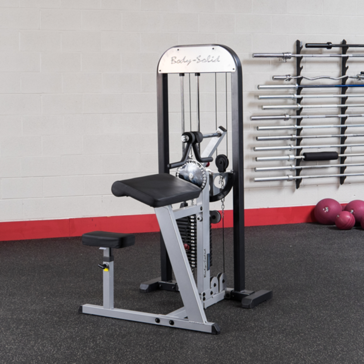 Body-Solid PRO-Select Biceps & Triceps Machine