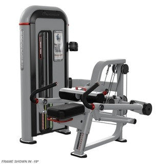 Nautilus Inspiration Tricep Dip - SILVER