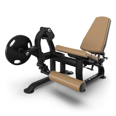 True Fitness PLS1200 Leg Extension