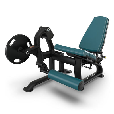 True Fitness PLS1200 Leg Extension