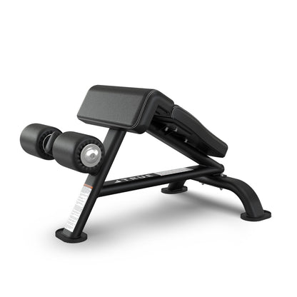 True Fitness SF-1010 AB Bench