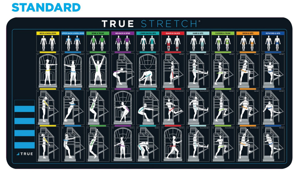 TRUEStretch®: Elevate Flexibility with Pro-Level Stretching Stations