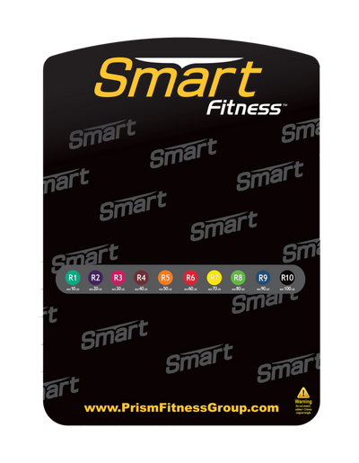 Prism Fitness Smart Resistance Wall Gym