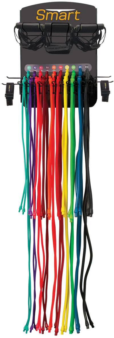 Prism Fitness Smart Resistance Wall Gym