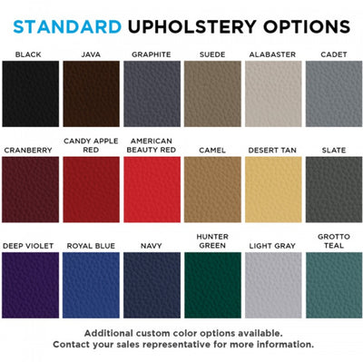 Upholstery Color Options