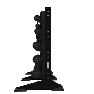 Torque 2-Module Wall 10 Barbell Rack