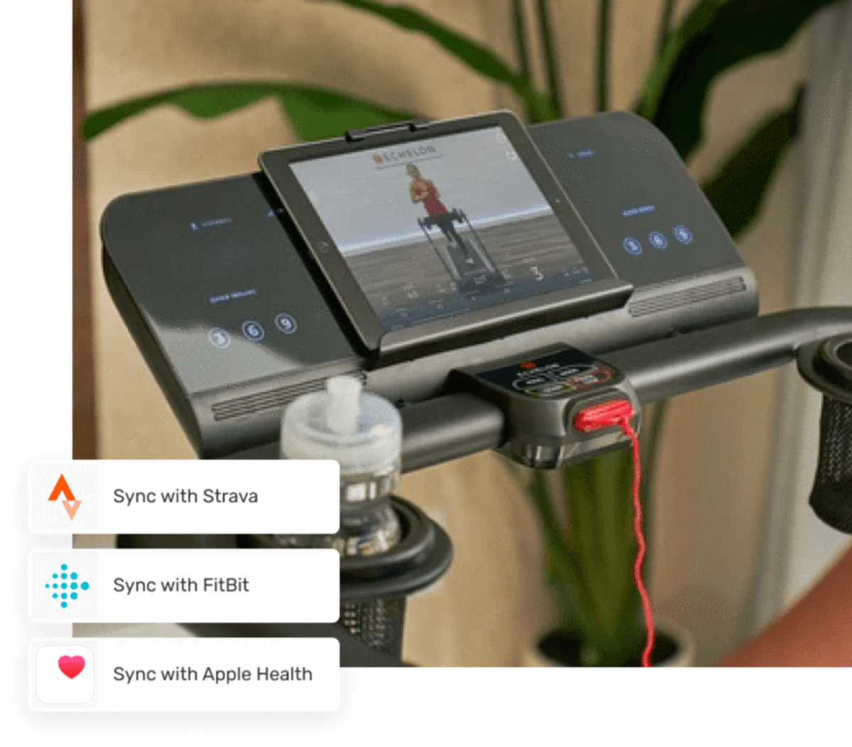 Echelon UNITED Membership