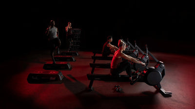 Life Fitness Heat Performance Row