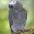 Reviewer Image