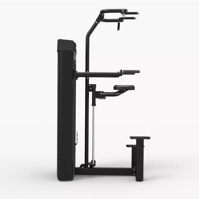 Spirit Fitness Pull Up/Dip Assist