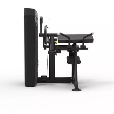 Spirit Fitness Biceps/Triceps